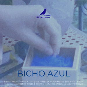 bichoazul_divulgacao
